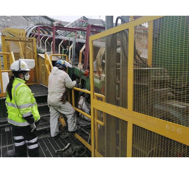 Servicio de cambio de polines de impacto, retorno, carga y guía